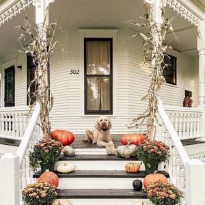 Meet your Posher, Andrea